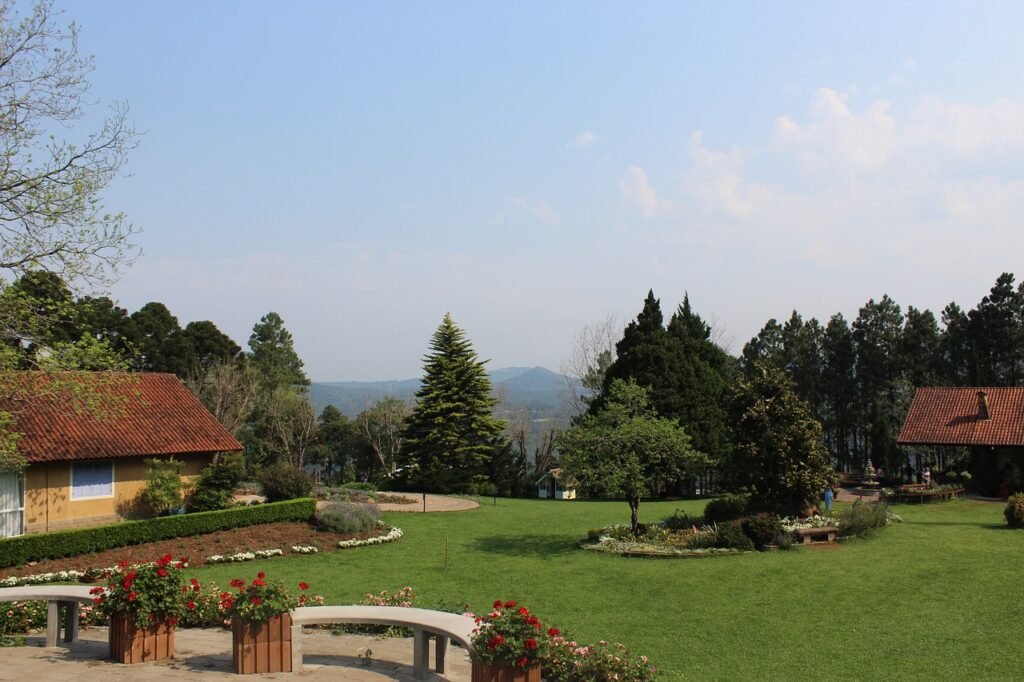 garden-4728405_1280