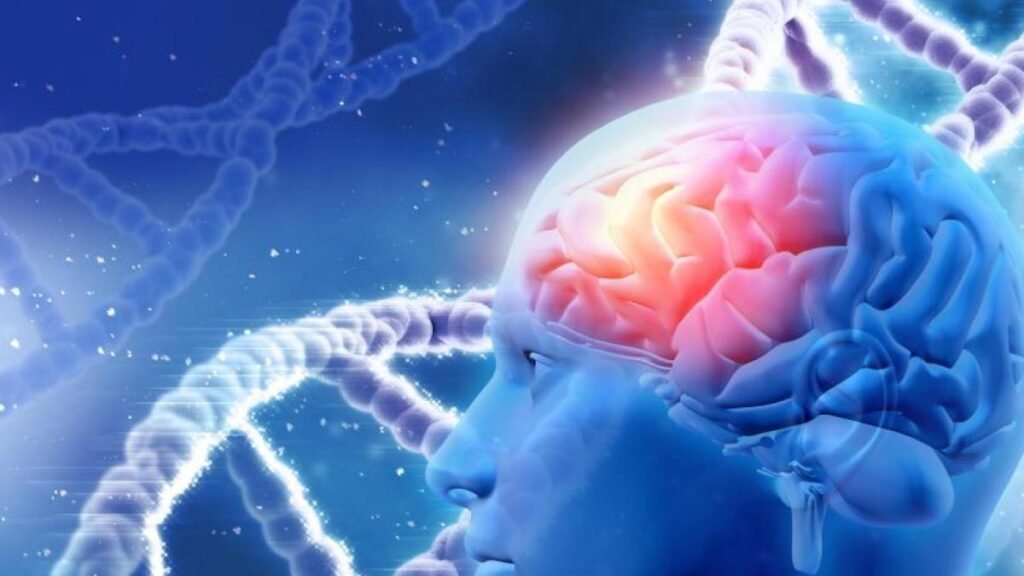 CEREBRO3