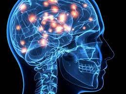 CEREBRO5